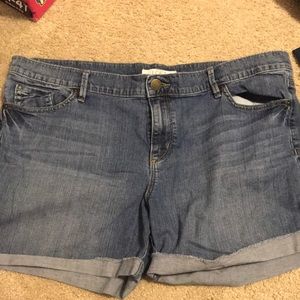 Loft Denim Shorts